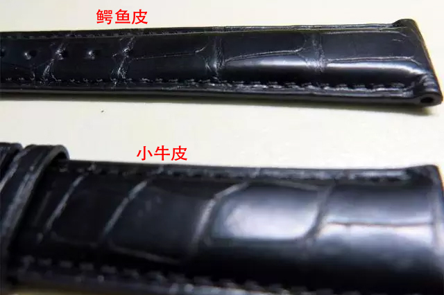 Quelles sont les différences entre un bracelet en cuir d'alligator d'Amérique et un bracelet en cuir de veau ? Quelles sont les différences entre un bracelet en cuir d'alligator d'Amérique et un bracelet en cuir de veau ?