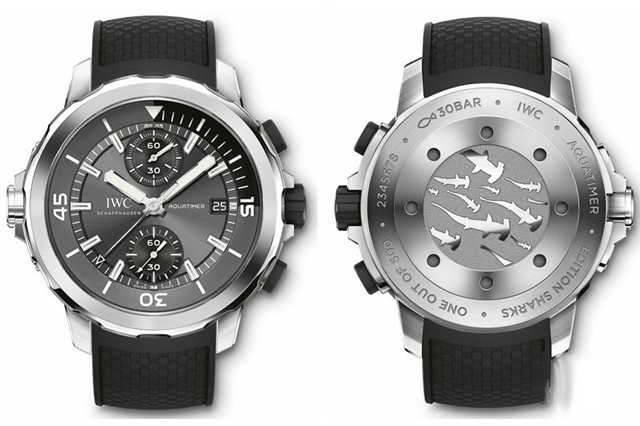 IWC万国海洋计时手表与“海洋王者”的面对面 IWC万国海洋计时手表与“海洋王者”的面对面