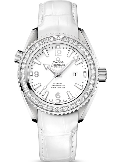 Omega Seamaster Planet Ocean 600m watch collection 232.18.38.20.04.001