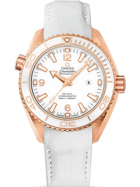 Omega Seamaster Planet Ocean 600m watch collection 232.63.38.20.04.001