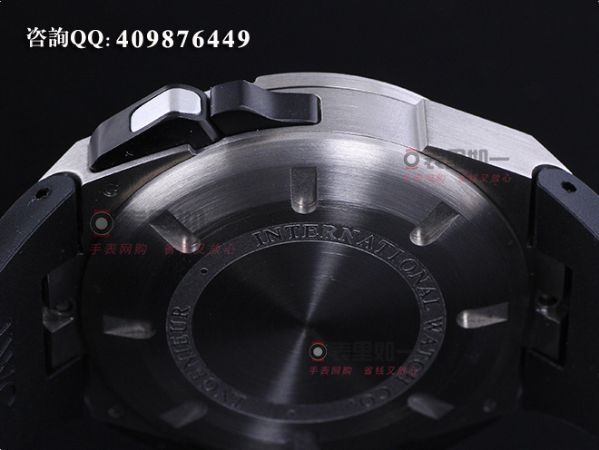 IWC Ingenieur collection 2013 New IWC model IW386503